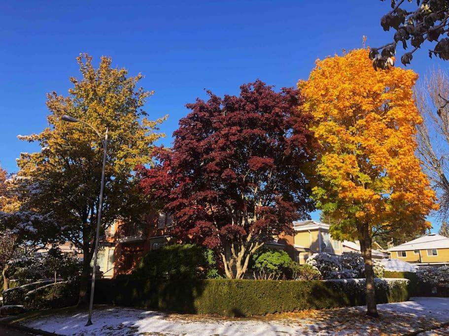 Super Cosy 8Bed & 6Bath In Vancouver Heart Near To Airport And Downtown Kültér fotó