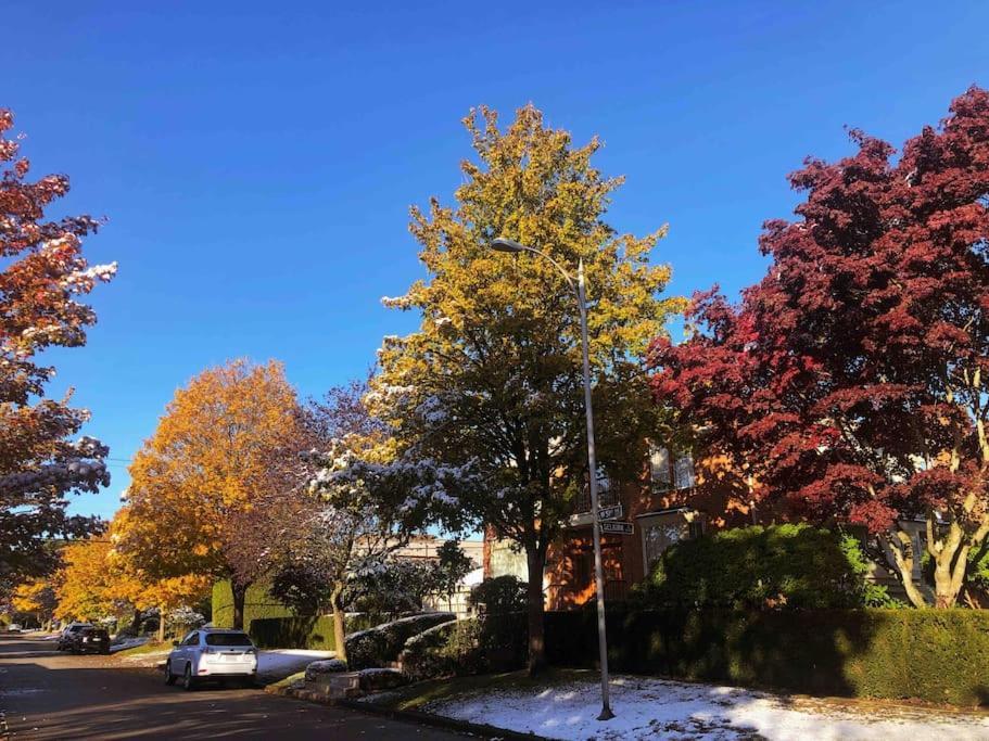Super Cosy 8Bed & 6Bath In Vancouver Heart Near To Airport And Downtown Kültér fotó